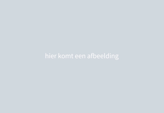 Dienstverleningsdocument